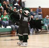 Nsu Mascot