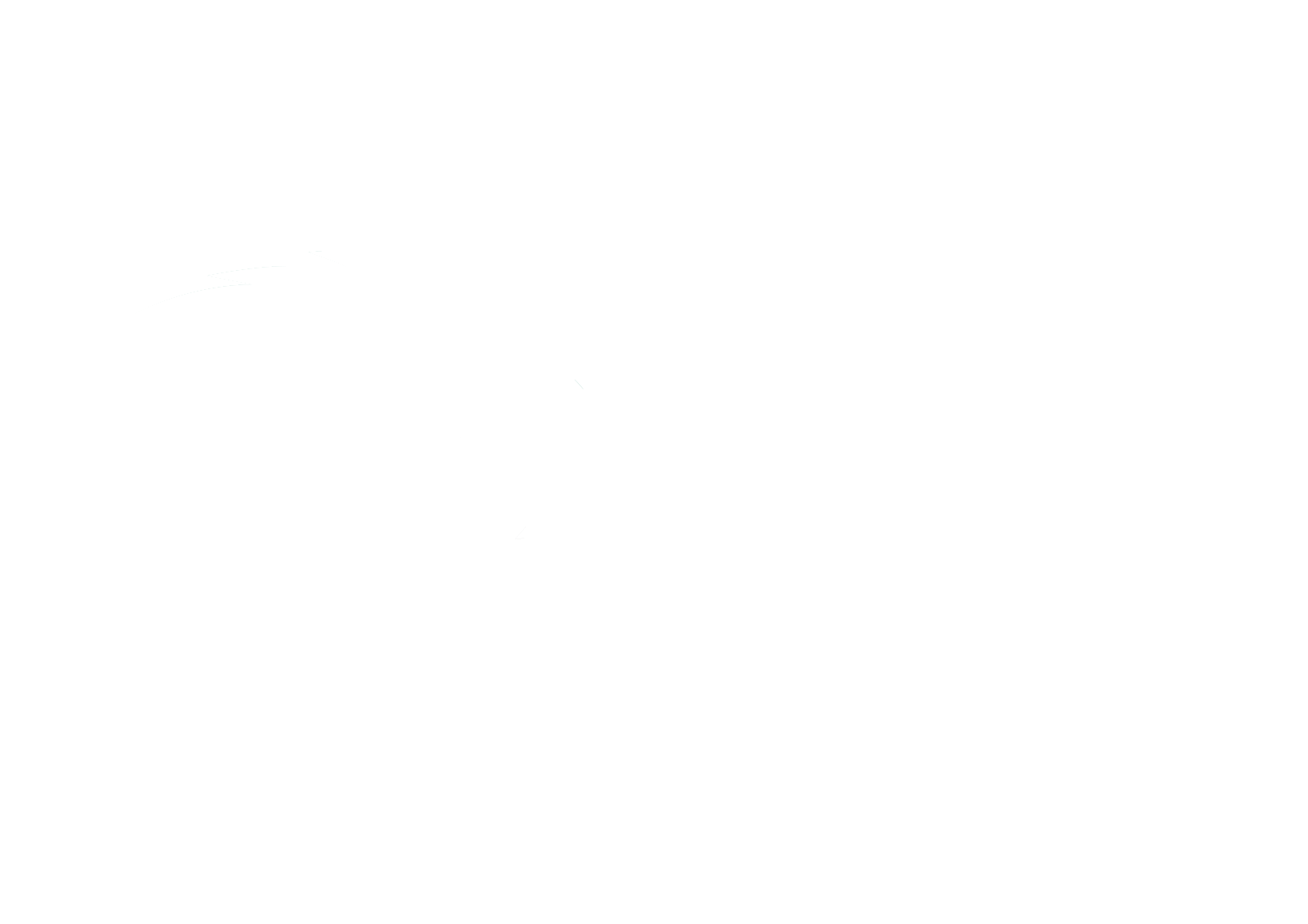 Athletics Logos - Monogram - NSU RiverHawk Head In Front of Text One Color White