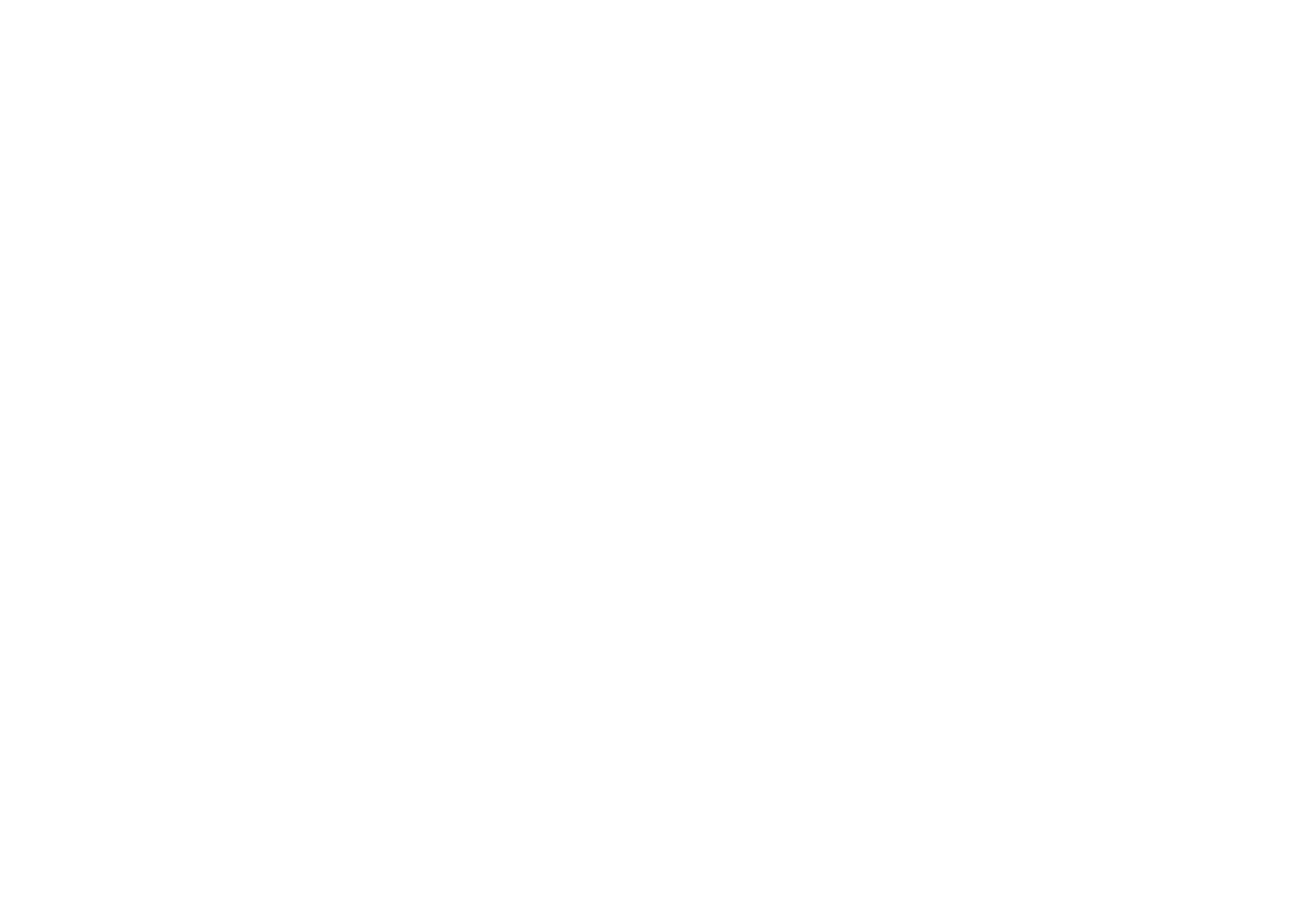 Athletics Logos - Word Marks NSU WHITE